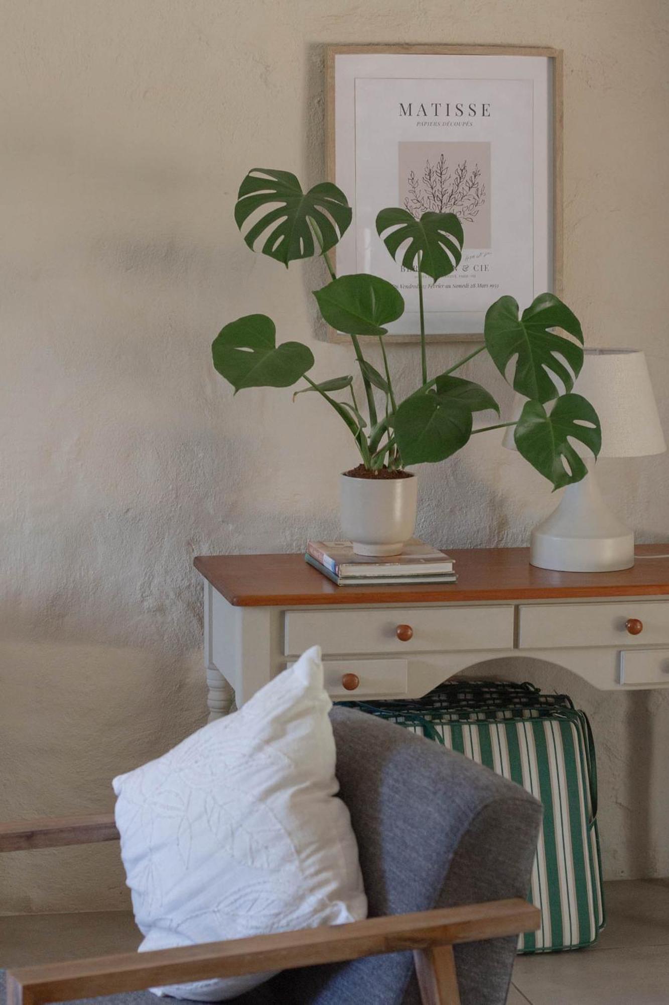 Three Streams Cottage Franschhoek Bagian luar foto